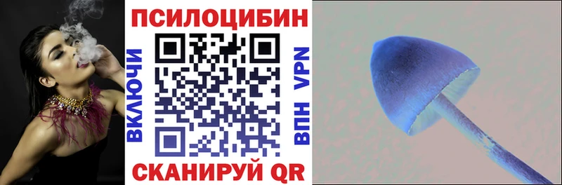 Купить где  Салаир  Галлюциногенные грибы прущие грибы 
