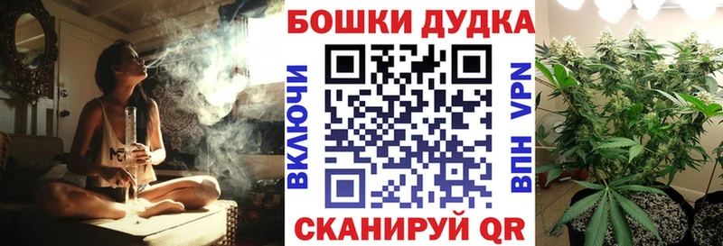 Каннабис планчик  Купить где  Салаир 